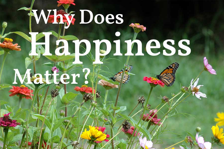 Why Does Happiness Matter?