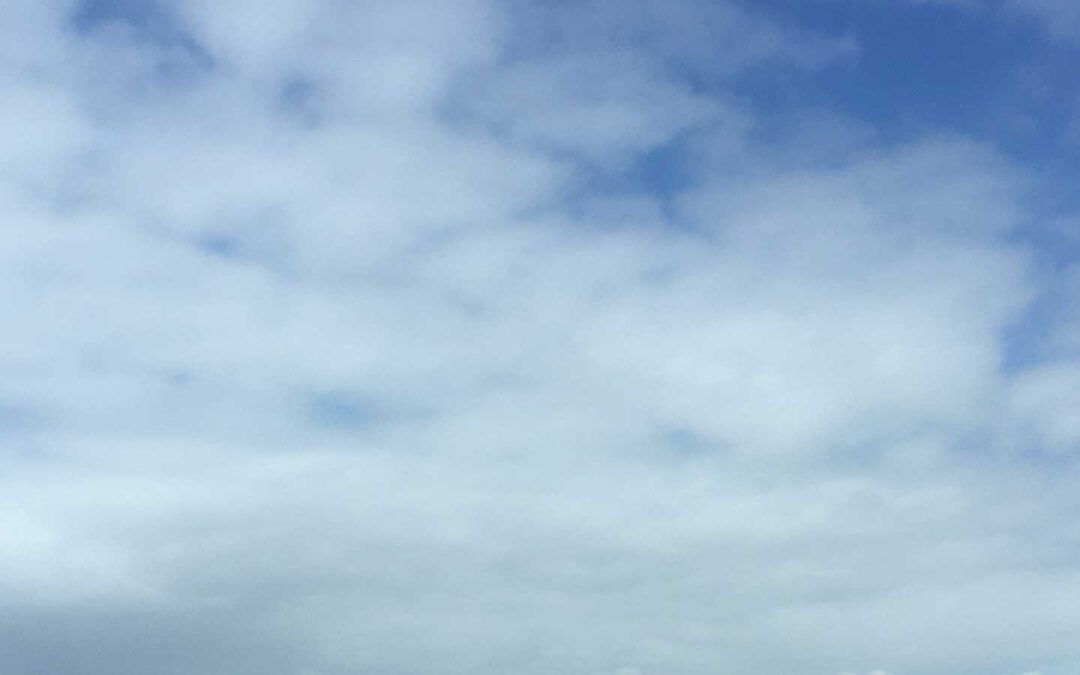 How to Handle Uncertainty?