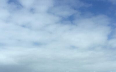 How to Handle Uncertainty?